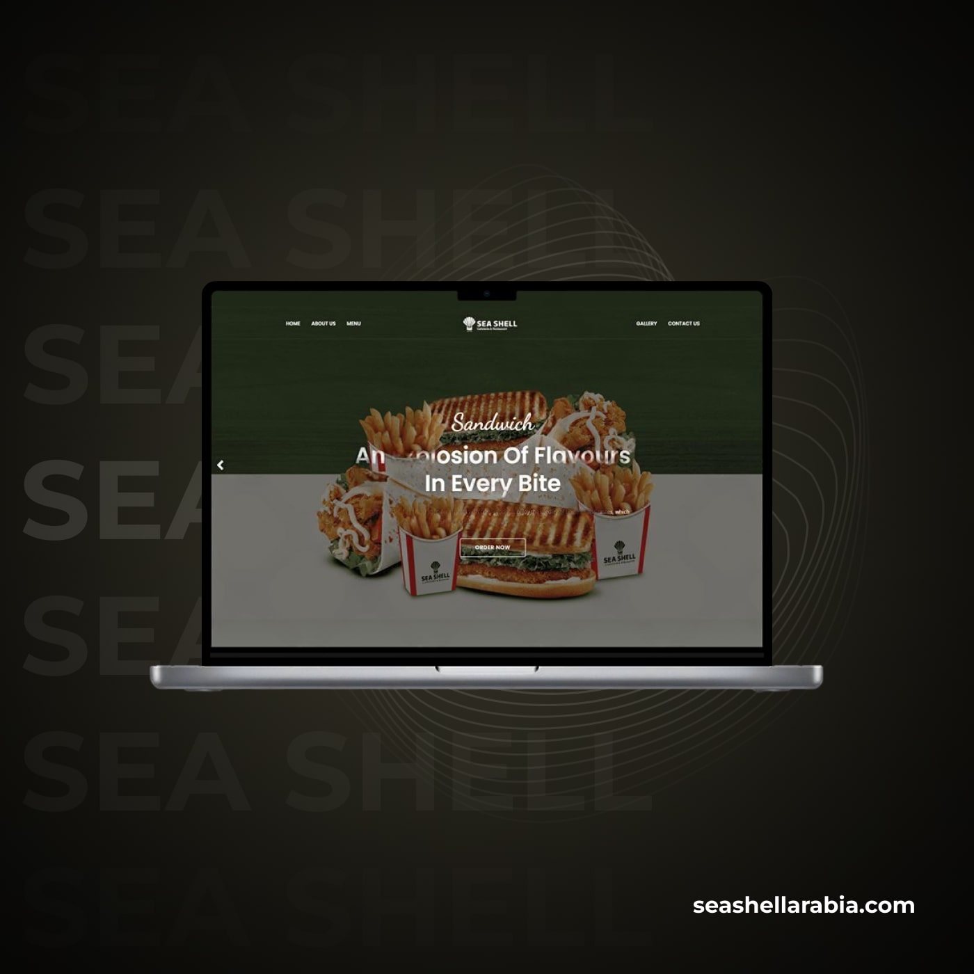 Sea Shell
